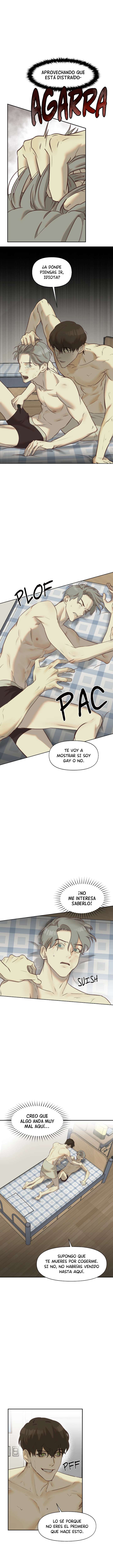 7 Proyecto Nerd