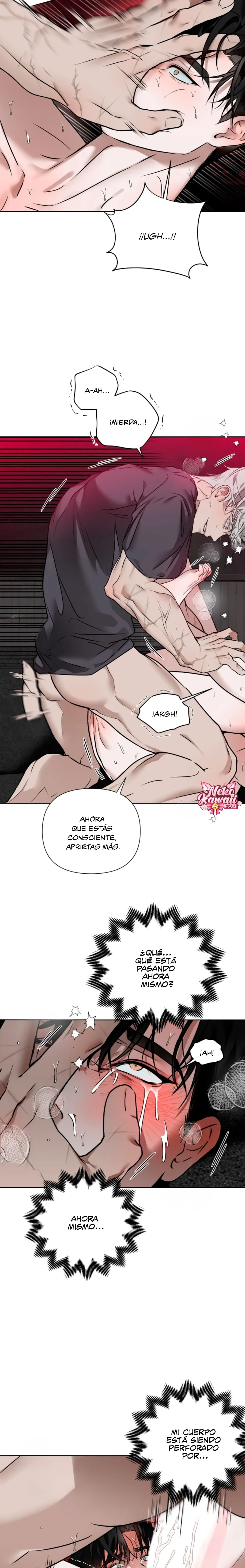 11 El diario de muñecas