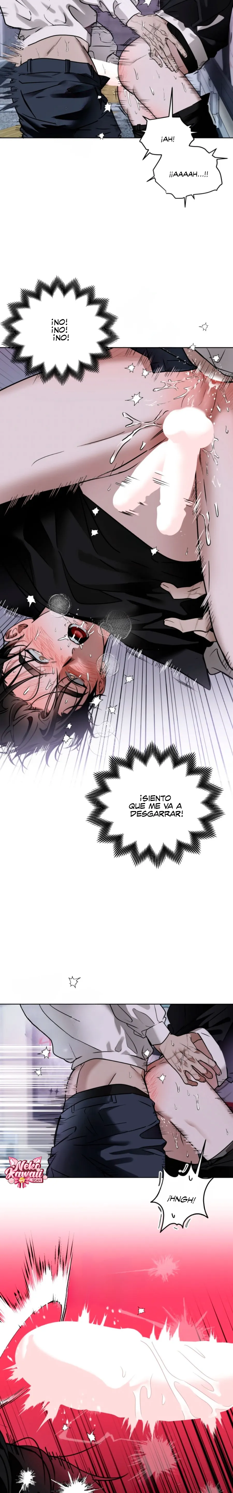 14 El diario de muñecas