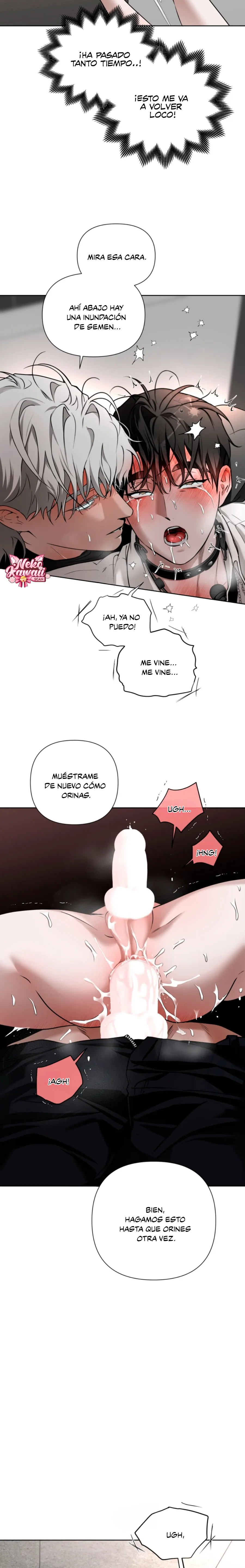 13 El diario de muñecas