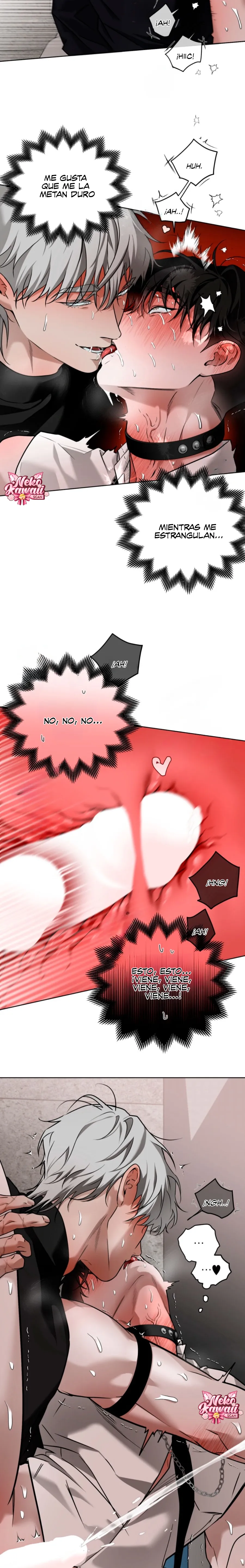 15 El diario de muñecas