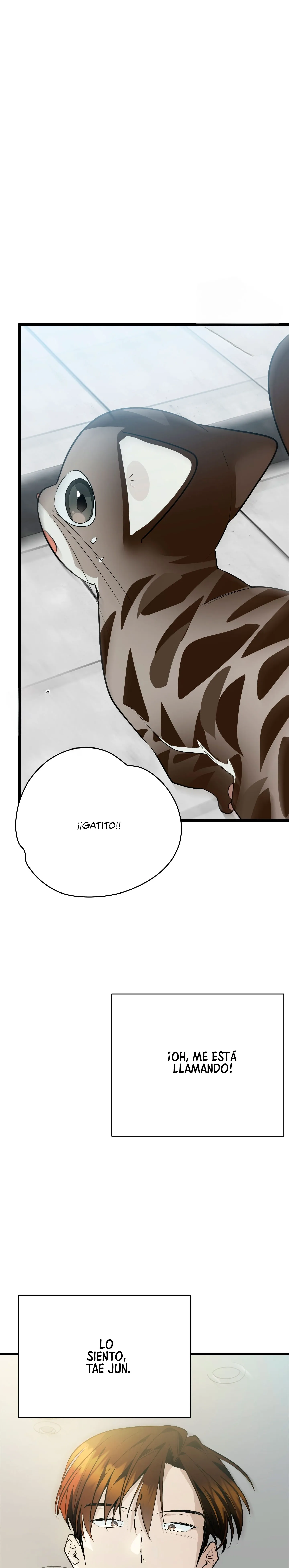 25 ¡Dame un cachorro leopardo si no quieres verme enloquecer!