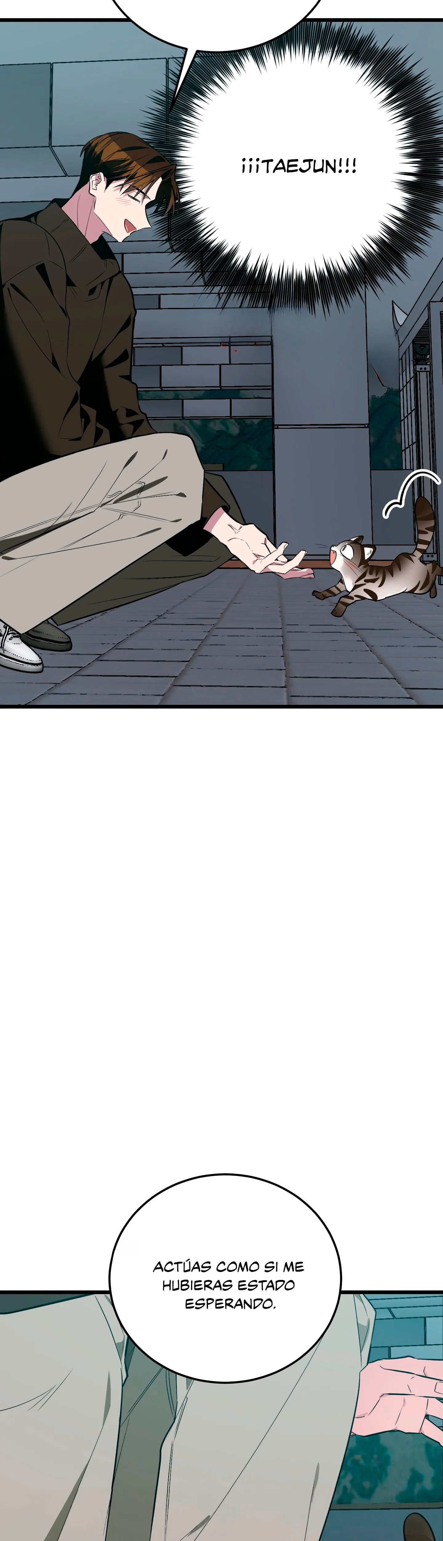 25 ¡Dame un cachorro leopardo si no quieres verme enloquecer!