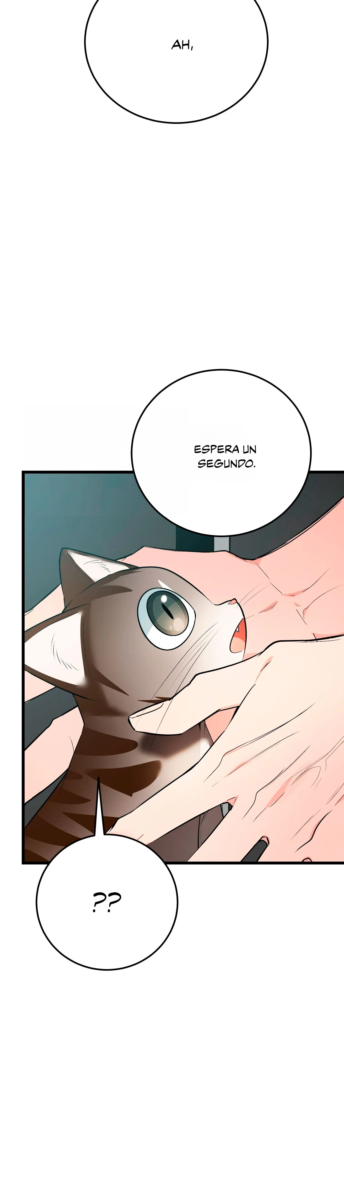 42 ¡Dame un cachorro leopardo si no quieres verme enloquecer!