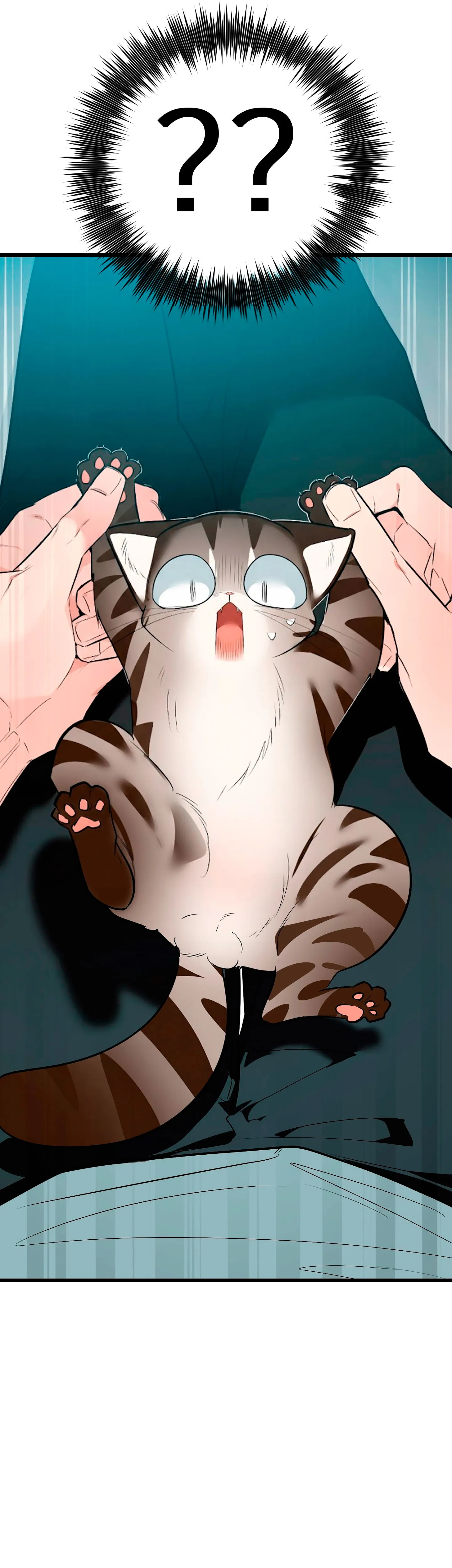 44 ¡Dame un cachorro leopardo si no quieres verme enloquecer!