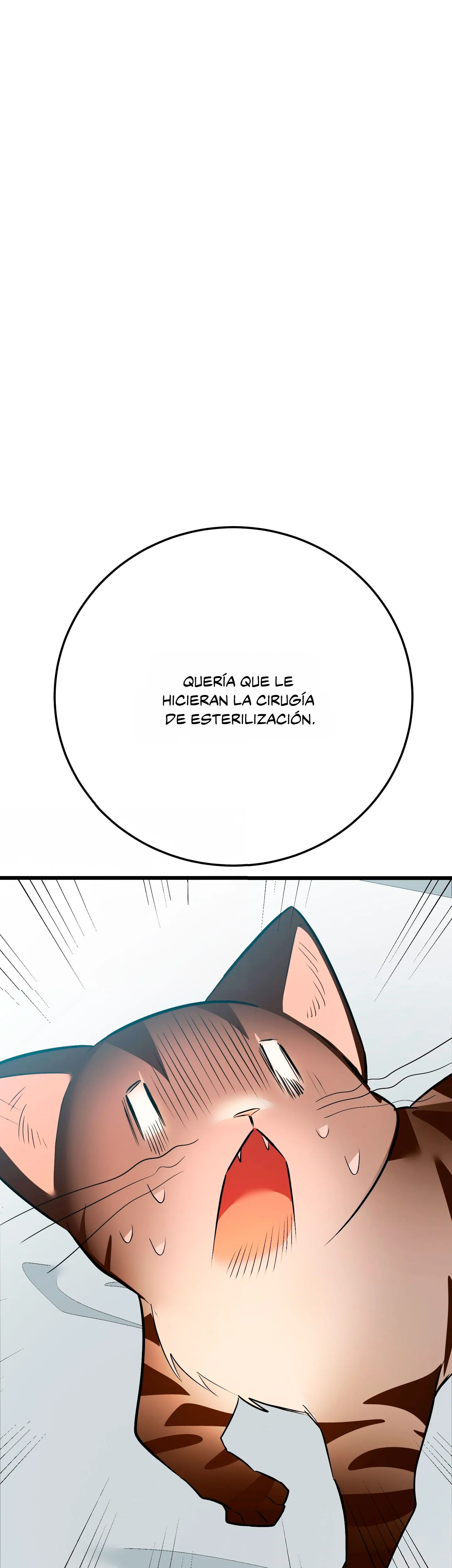 49 ¡Dame un cachorro leopardo si no quieres verme enloquecer!