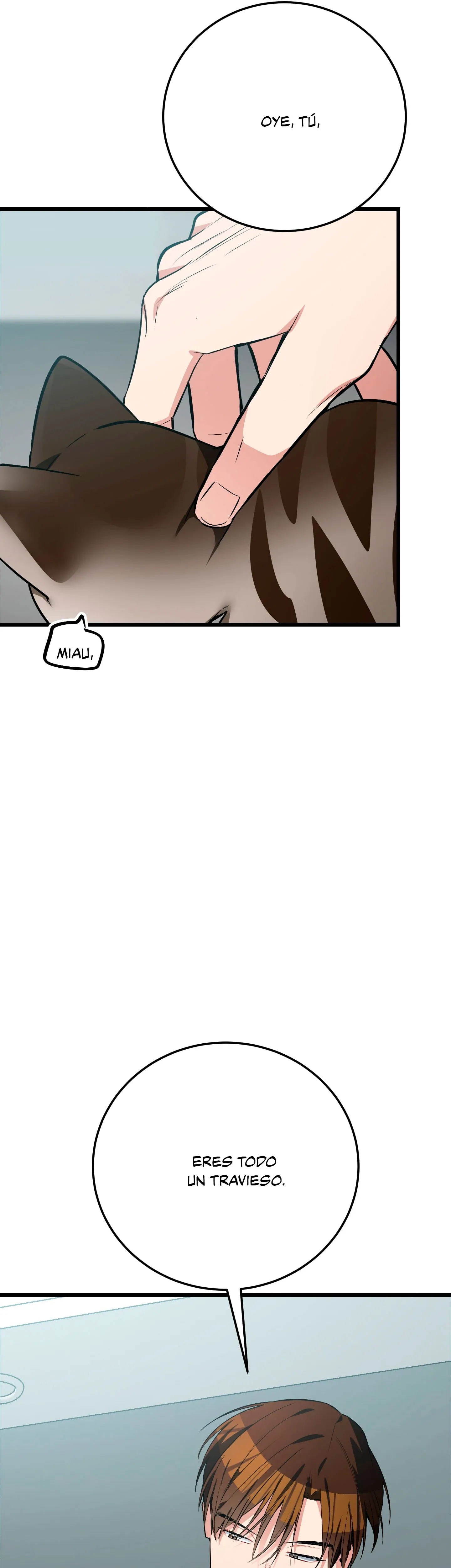 36 ¡Dame un cachorro leopardo si no quieres verme enloquecer!