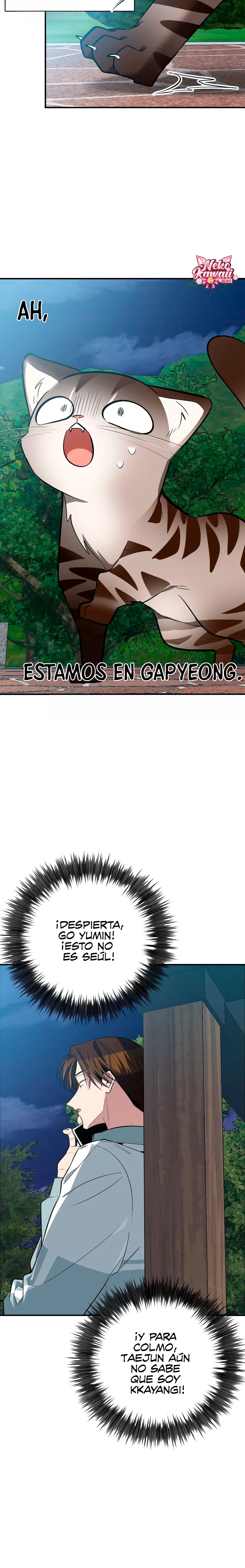 4 ¡Dame un cachorro leopardo si no quieres verme enloquecer!