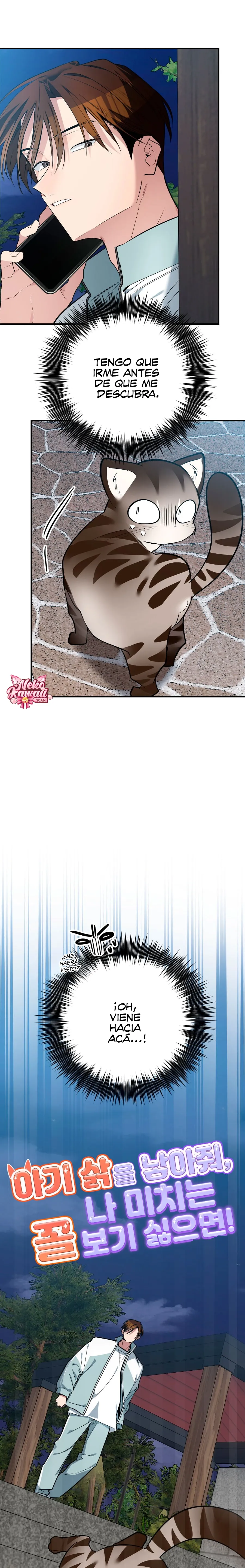 5 ¡Dame un cachorro leopardo si no quieres verme enloquecer!