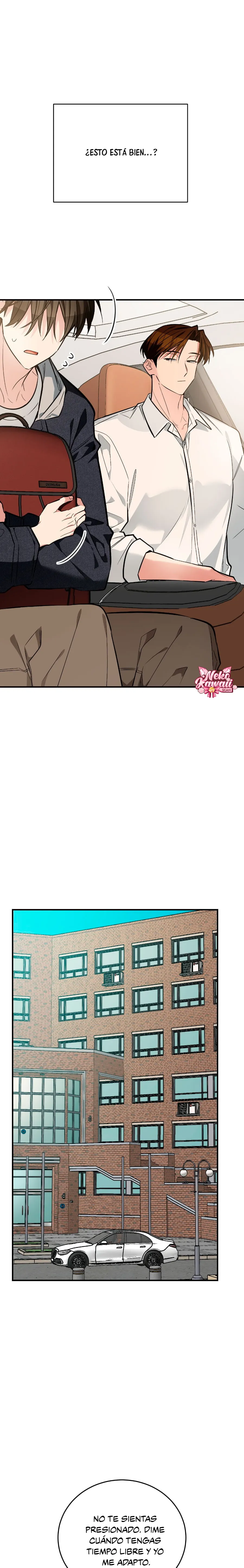 12 ¡Dame un cachorro leopardo si no quieres verme enloquecer!