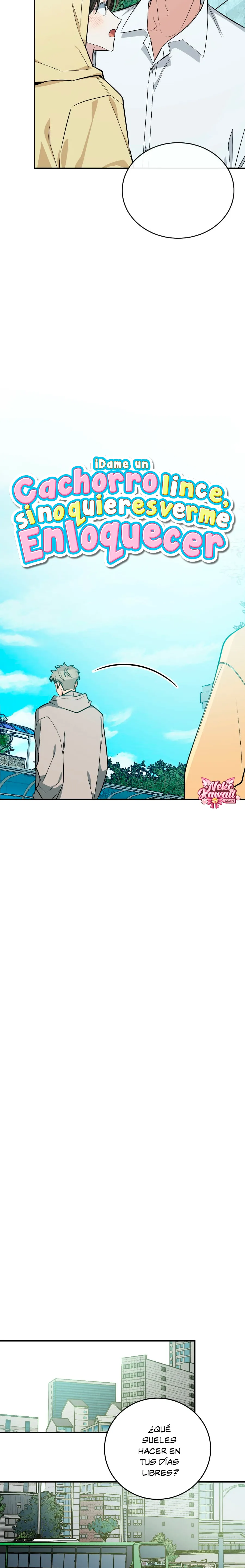 7 ¡Dame un cachorro leopardo si no quieres verme enloquecer!