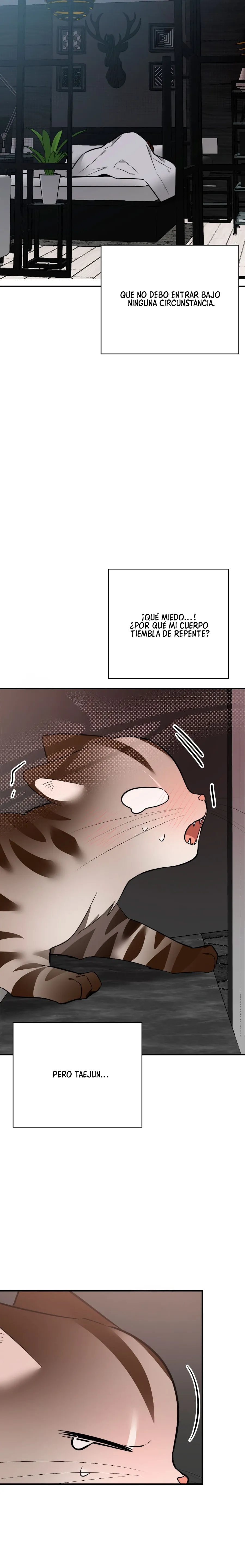 34 ¡Dame un cachorro leopardo si no quieres verme enloquecer!