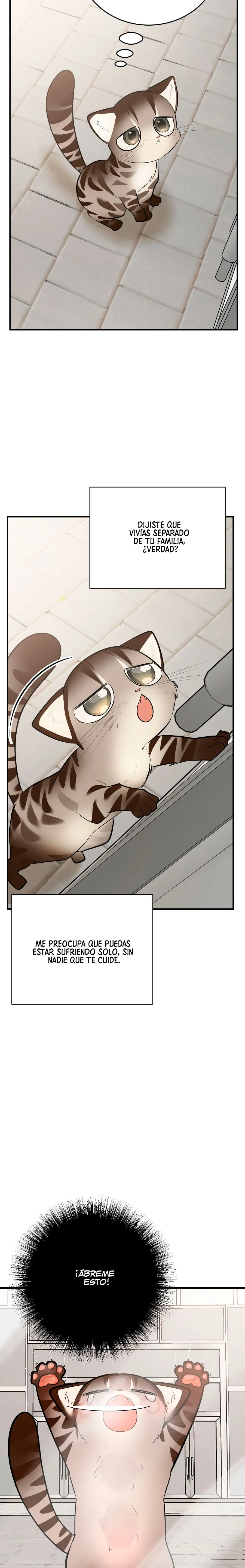 26 ¡Dame un cachorro leopardo si no quieres verme enloquecer!