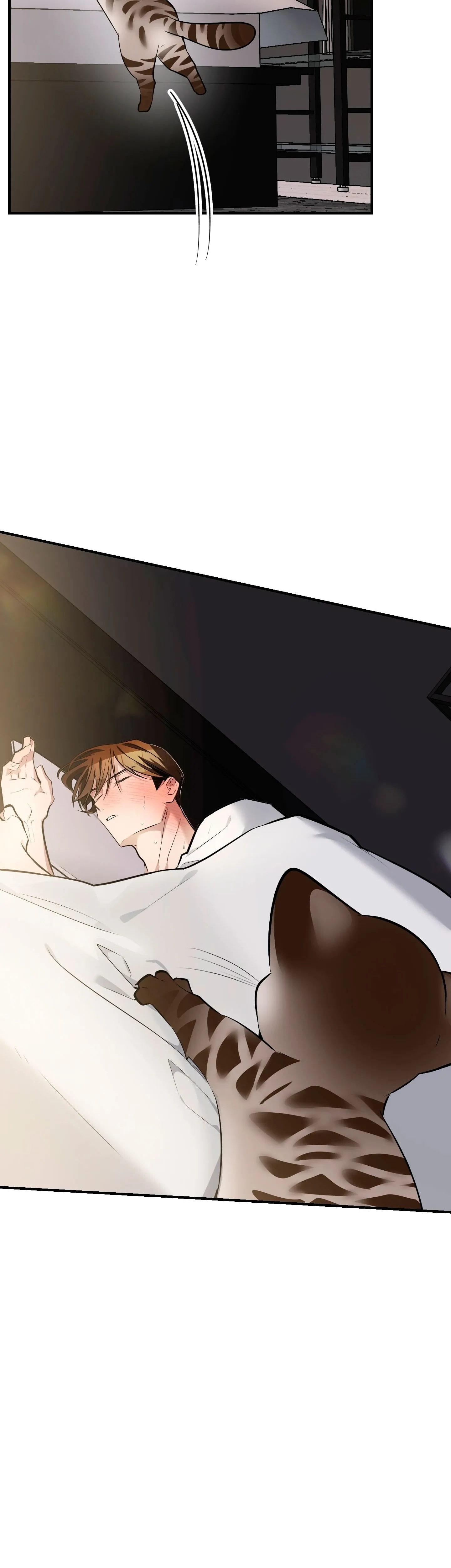 3 ¡Dame un cachorro leopardo si no quieres verme enloquecer!