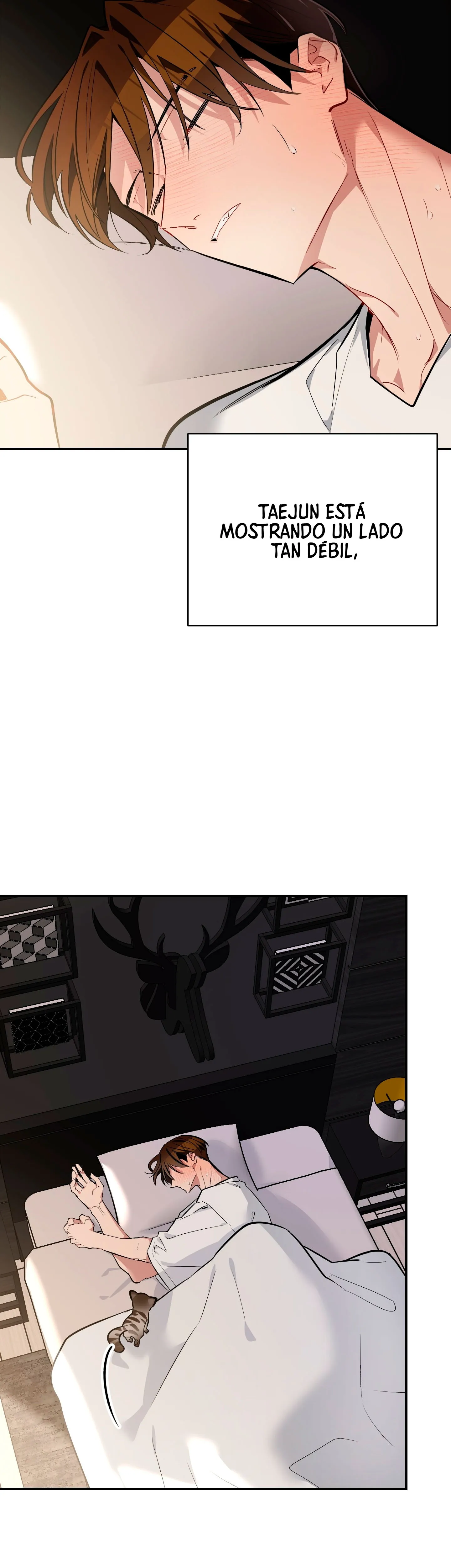 5 ¡Dame un cachorro leopardo si no quieres verme enloquecer!