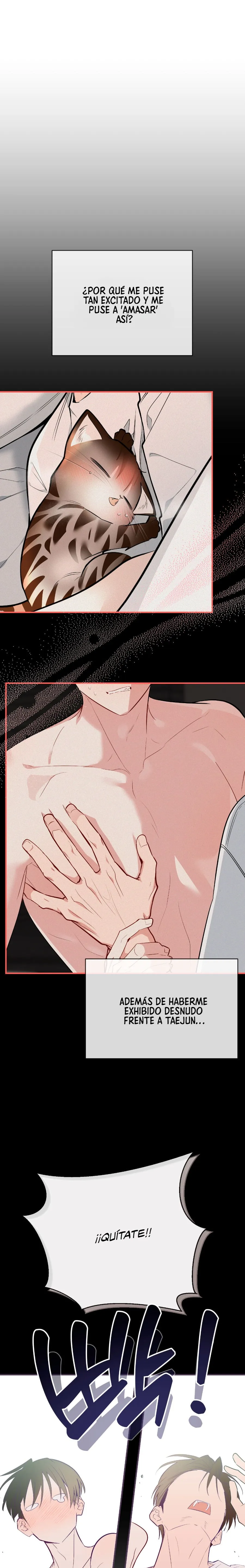 3 ¡Dame un cachorro leopardo si no quieres verme enloquecer!