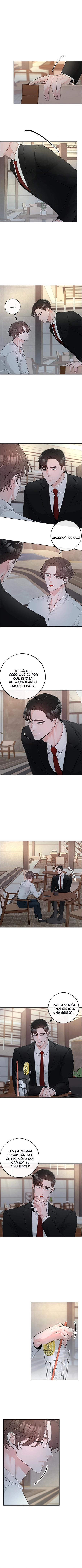 5 De elección a elección