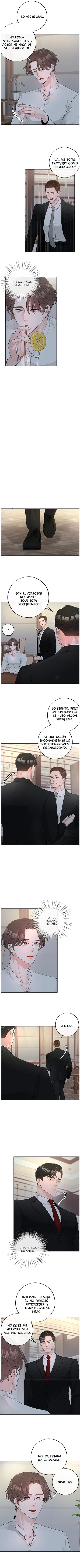 4 De elección a elección