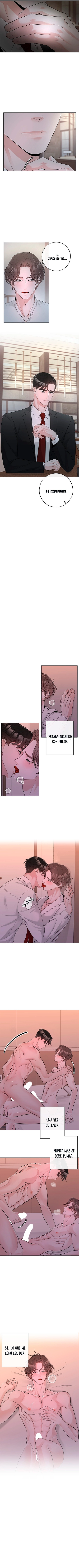 6 De elección a elección