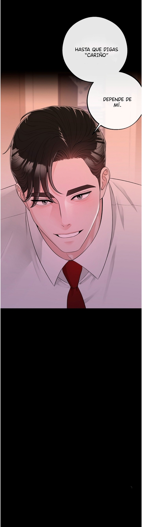 12 De elección a elección