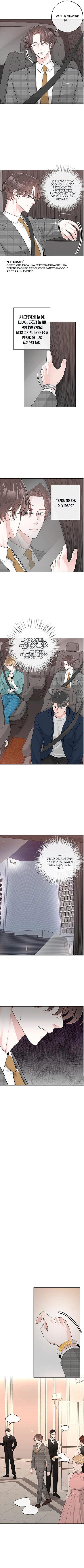 1 De elección a elección