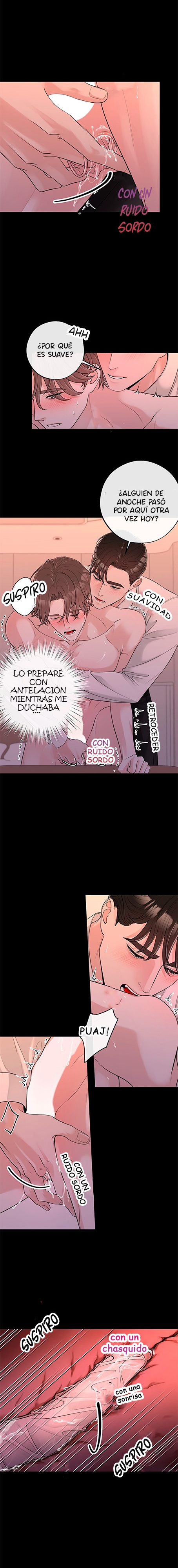 6 De elección a elección