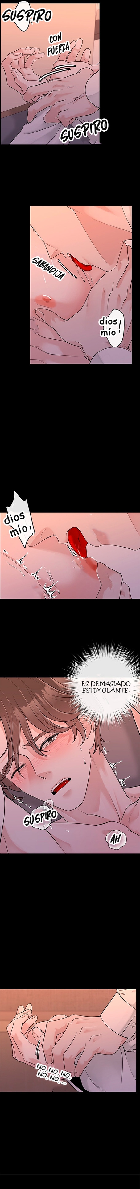 3 De elección a elección