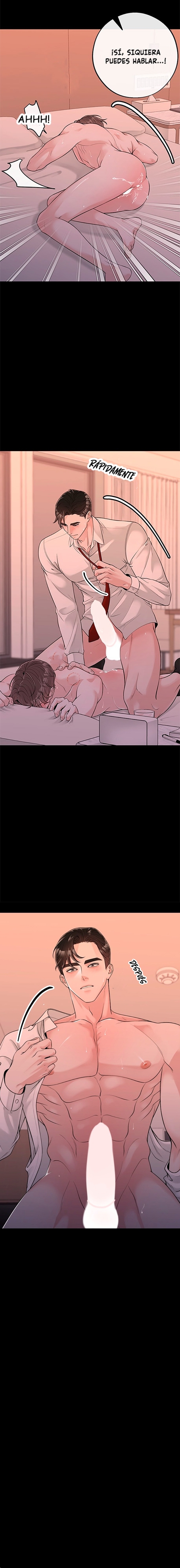 11 De elección a elección