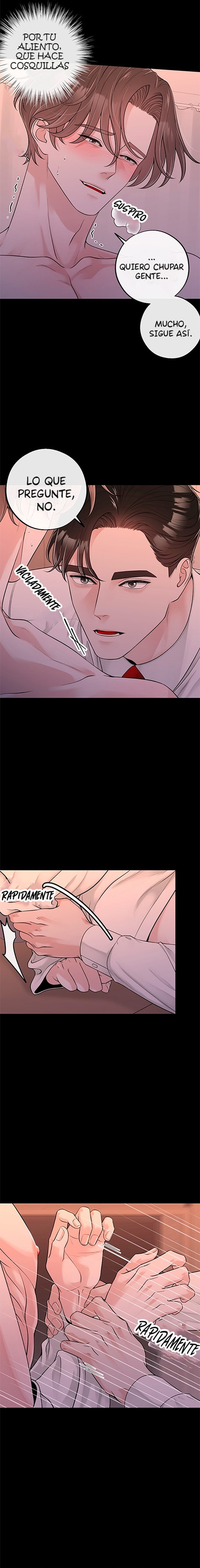 1 De elección a elección