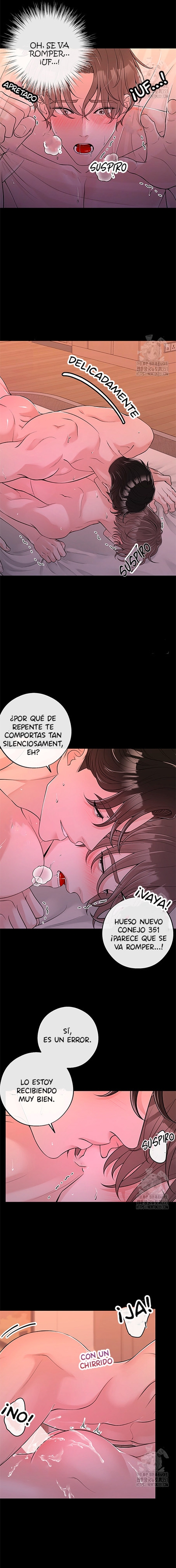 5 De elección a elección