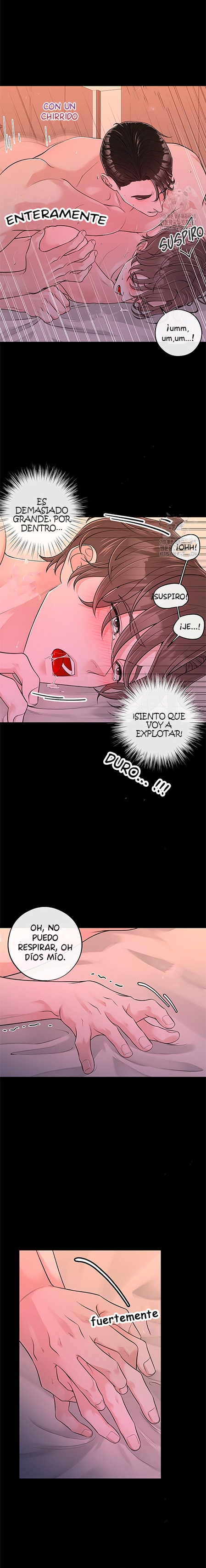 6 De elección a elección