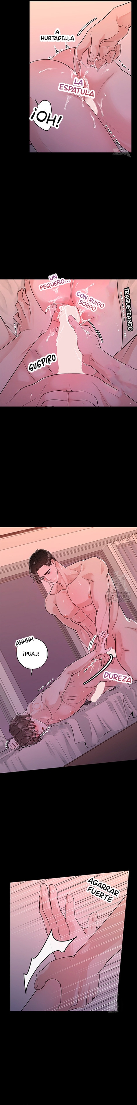 1 De elección a elección