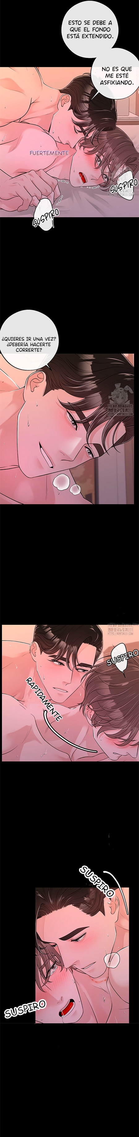 7 De elección a elección