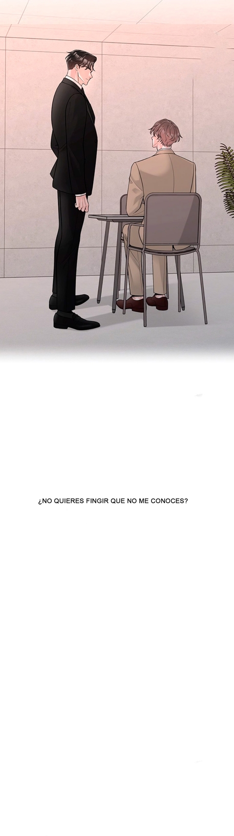 16 De elección a elección