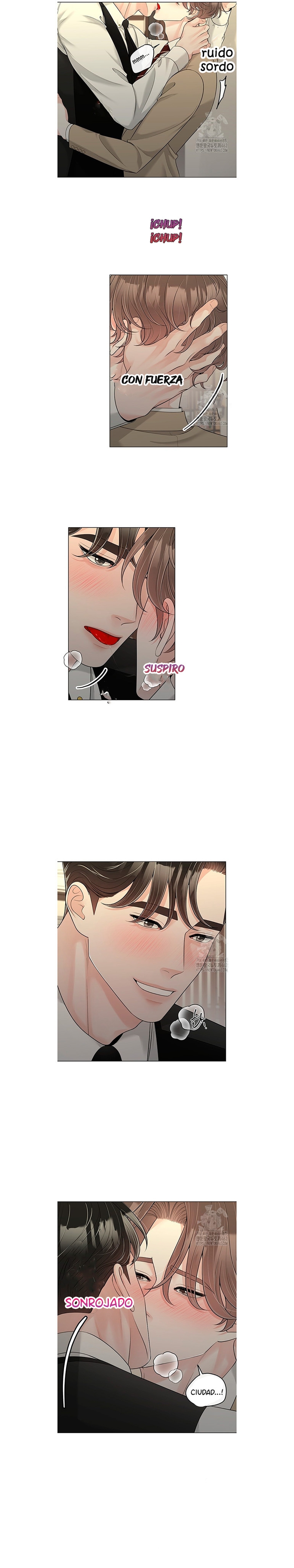 6 De elección a elección