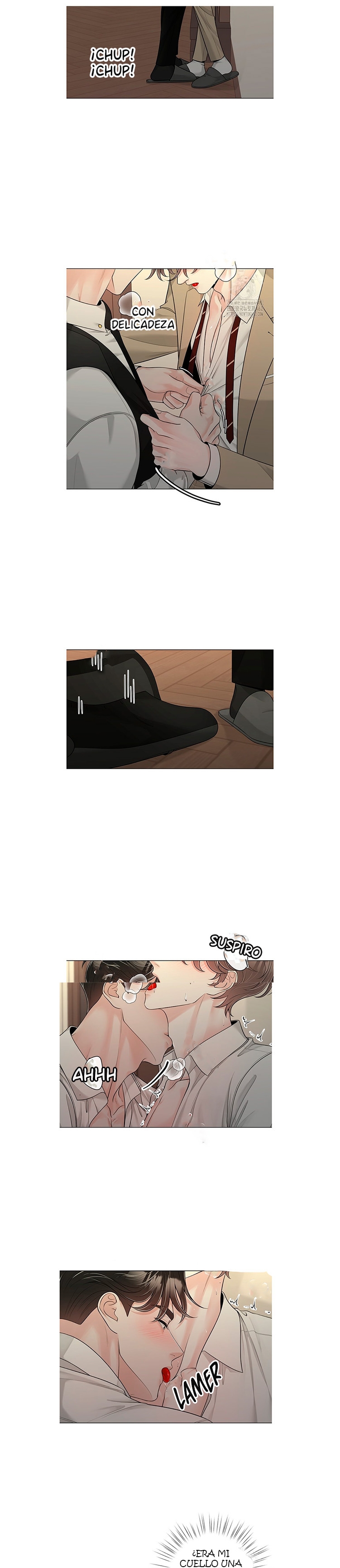 7 De elección a elección