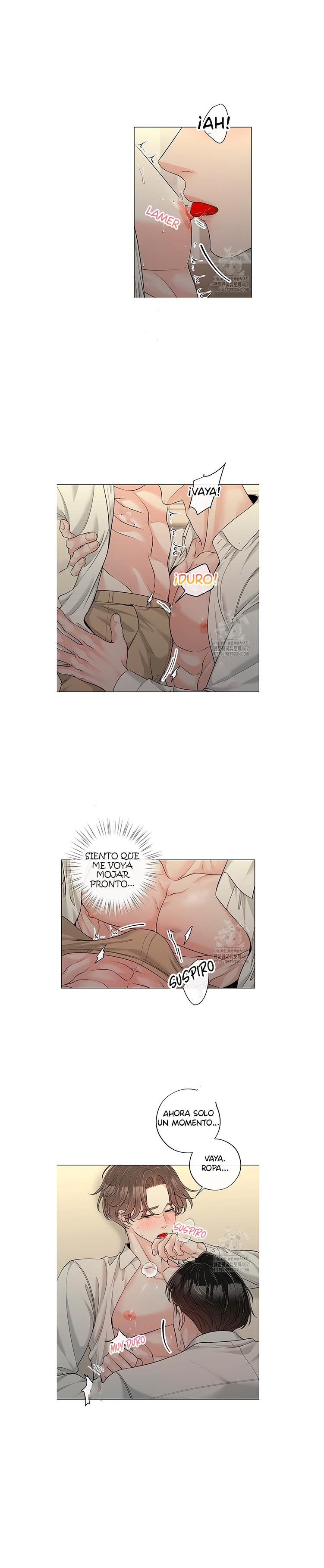 10 De elección a elección