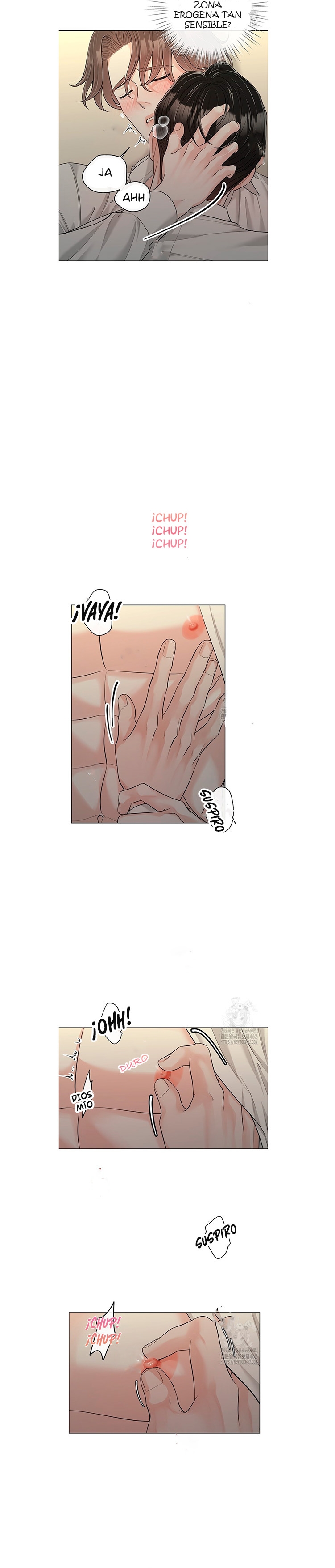 8 De elección a elección