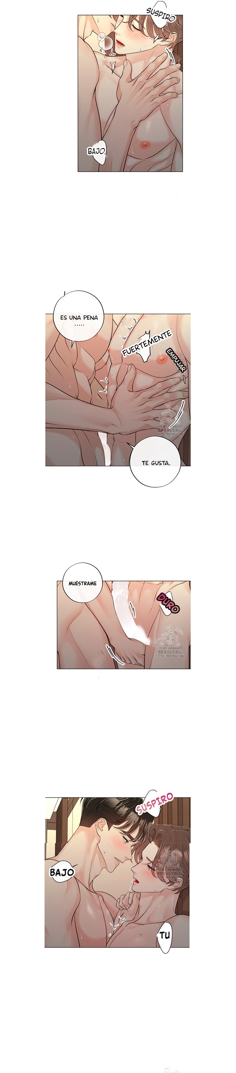 7 De elección a elección