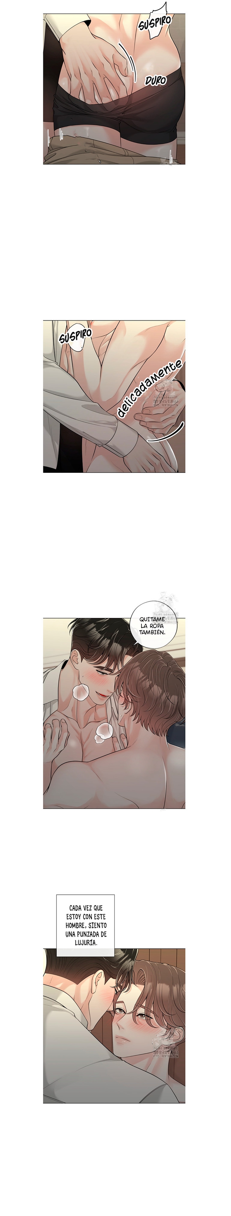 2 De elección a elección