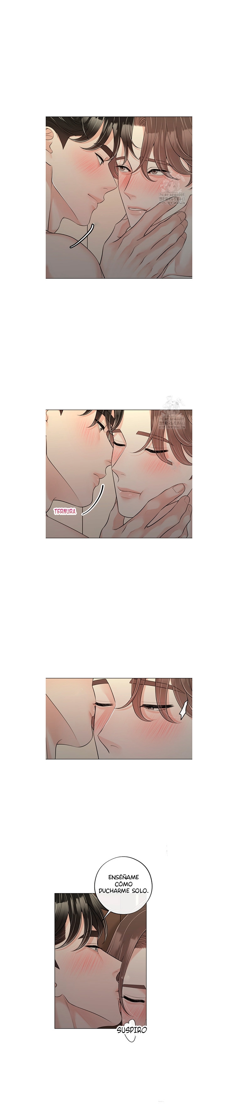 6 De elección a elección