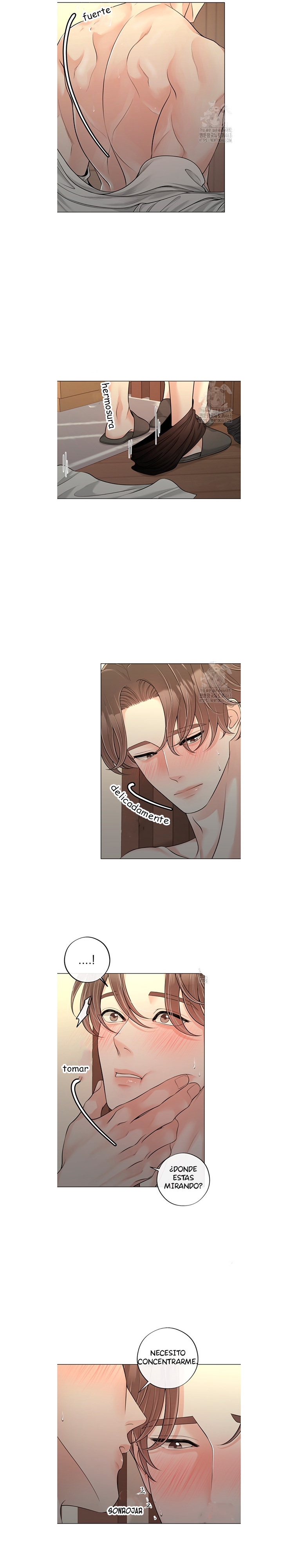 5 De elección a elección