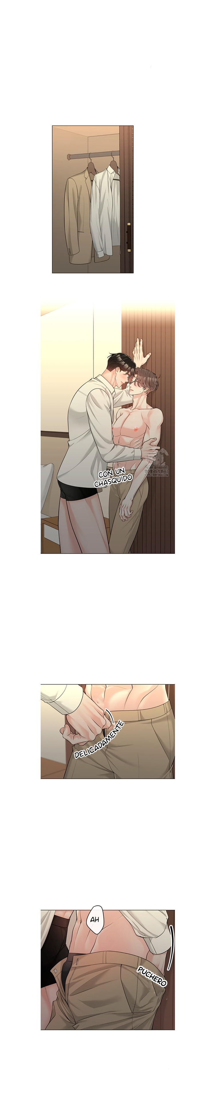 1 De elección a elección