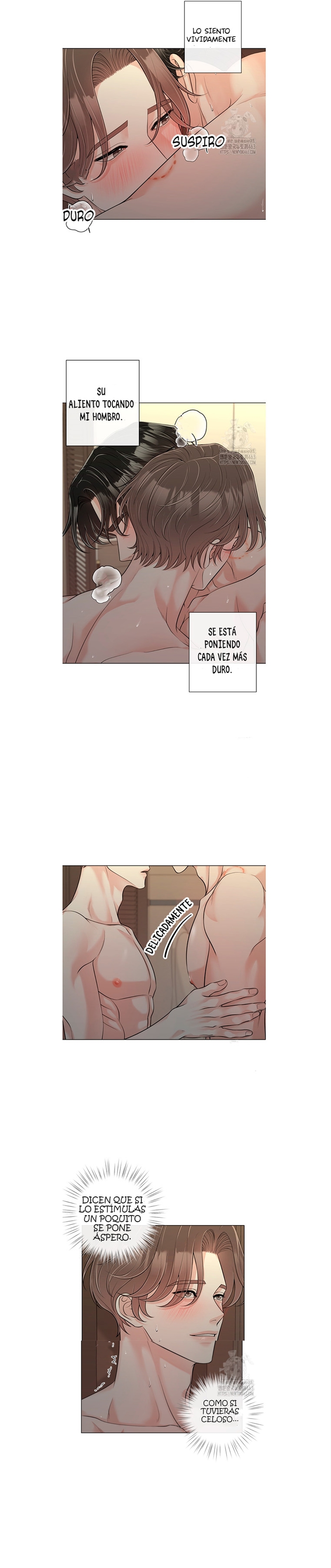 11 De elección a elección