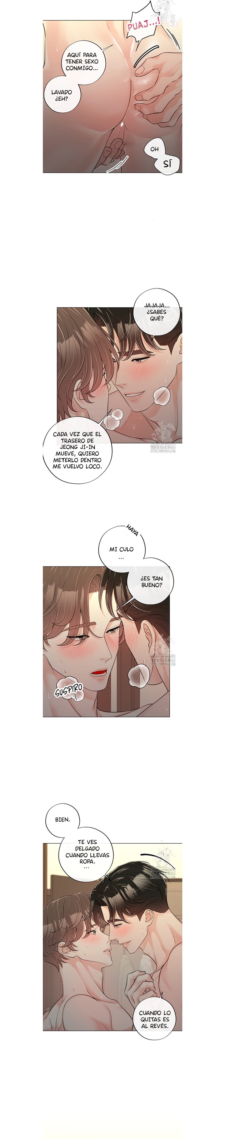 8 De elección a elección