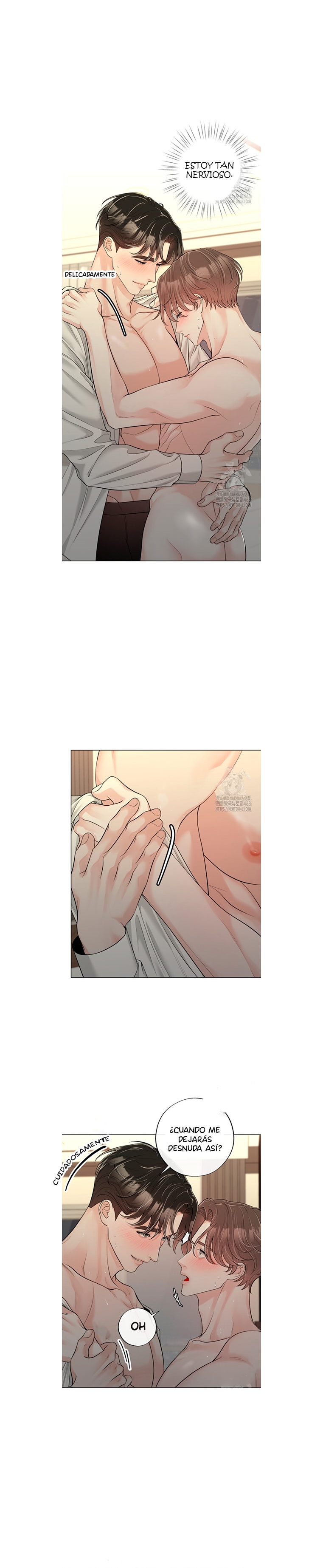 4 De elección a elección