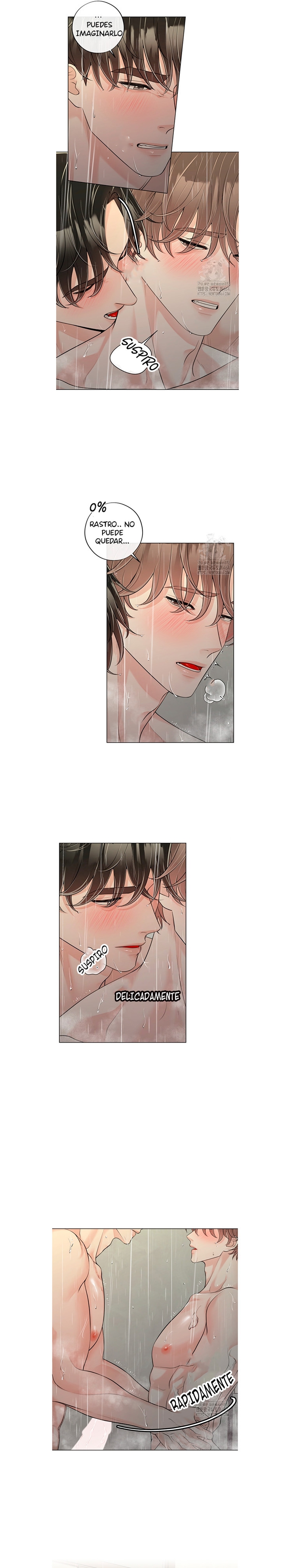 7 De elección a elección