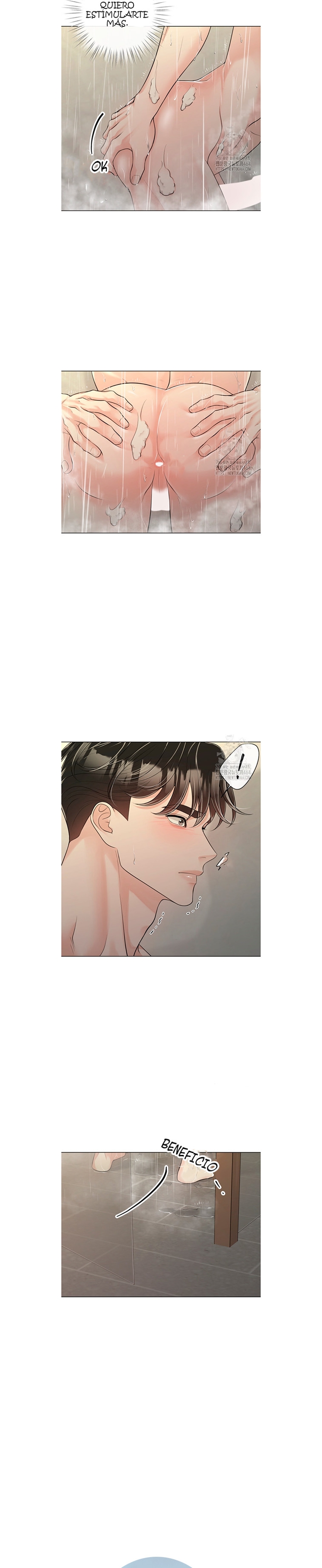 4 De elección a elección