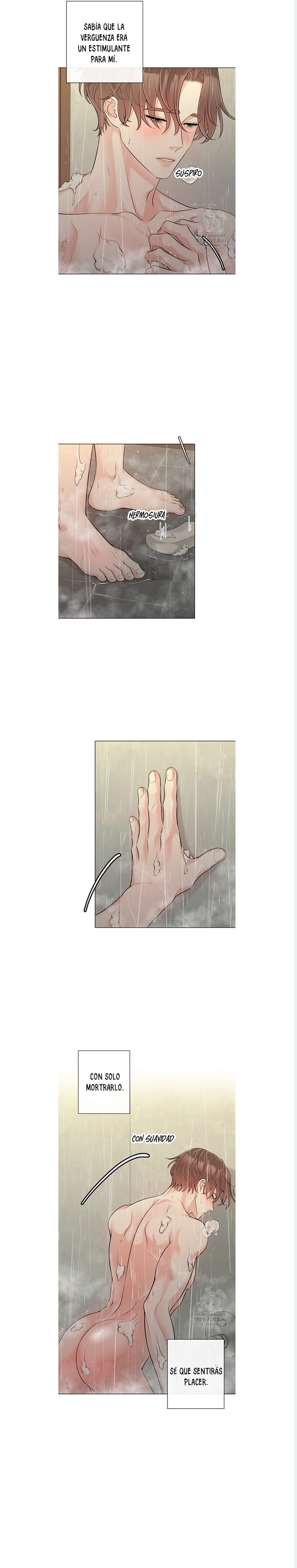 1 De elección a elección