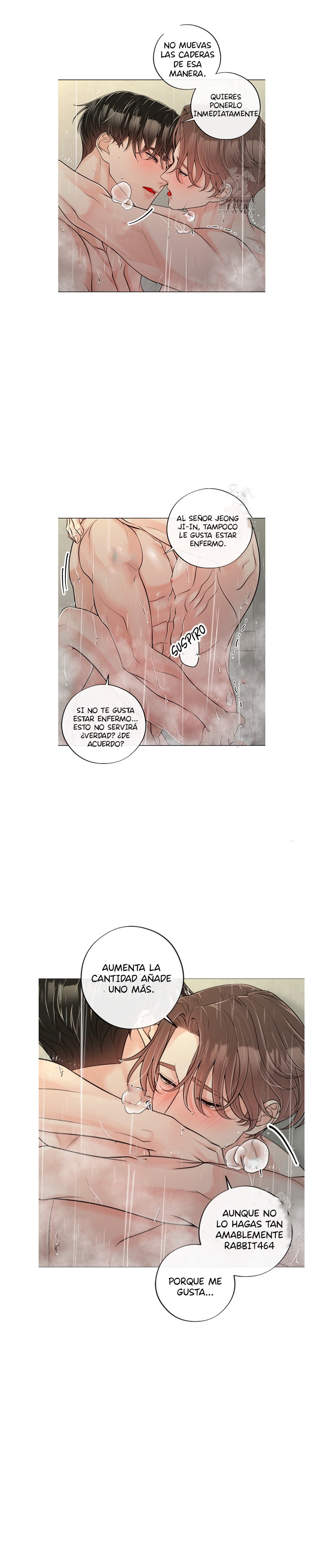 11 De elección a elección